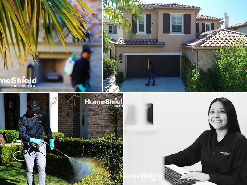 HomeShield Pest Control