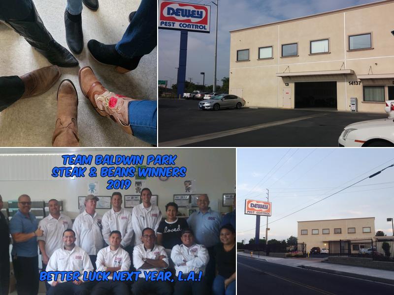 Dewey Pest & Termite Control