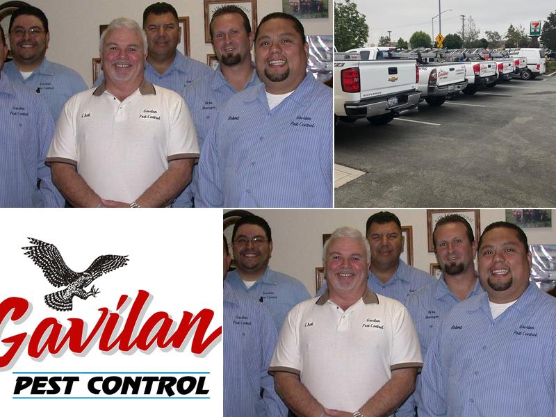Gavilan Pest Control