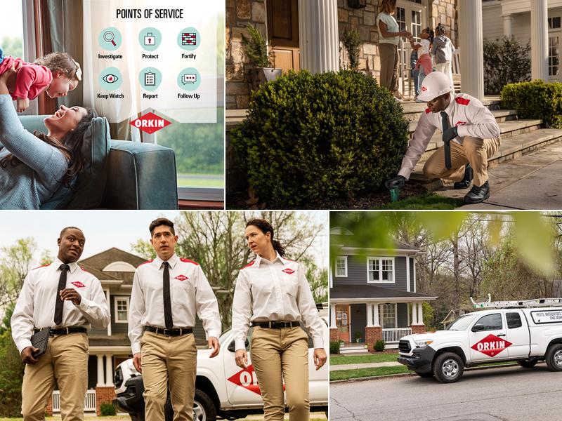 Orkin