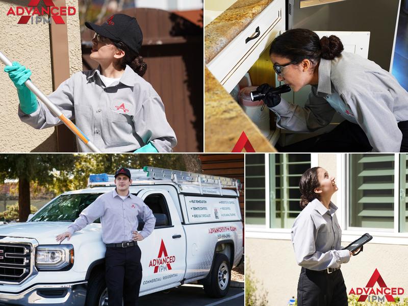 Advanced Integrated Pest Management