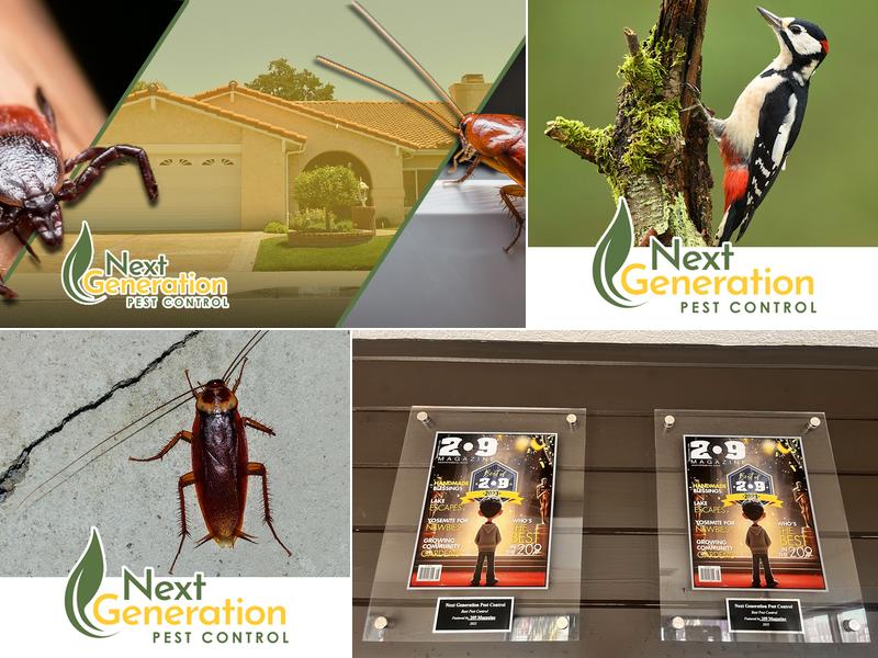 Next Generation Pest Control