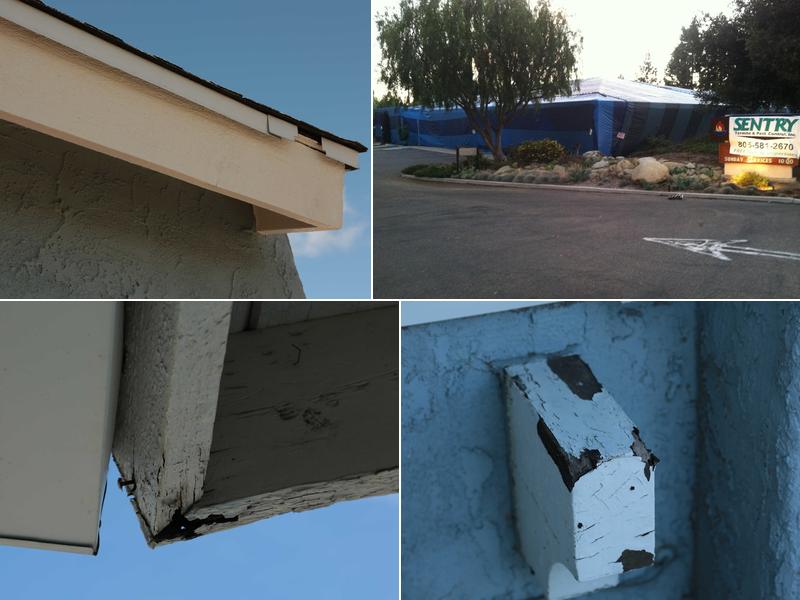 Sentry Termite & Pest Control Inc.