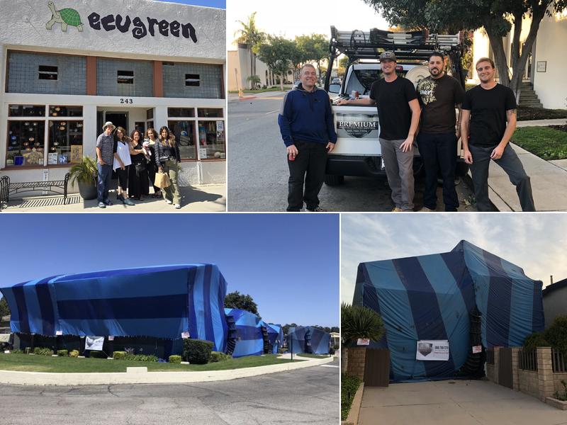 Premium Termite & Pest Control