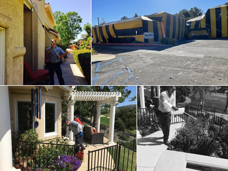 Insight Pest Management