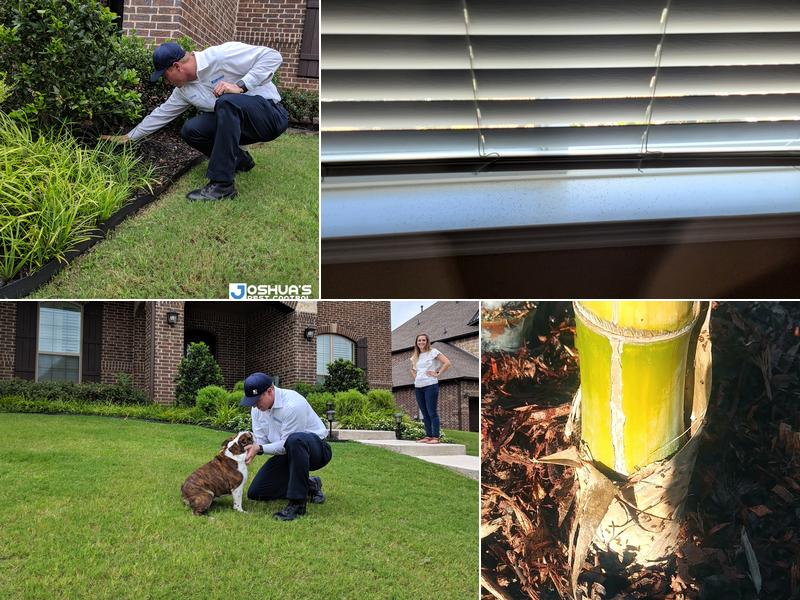 Joshua's Pest Control