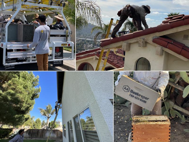 AA-Beekeeper | Live Bee Removal & Relocation