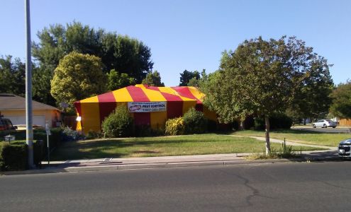 Dewey Pest & Termite Control