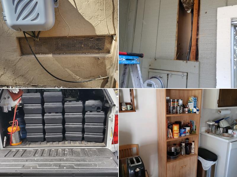 Presto Pest Control, Inc.