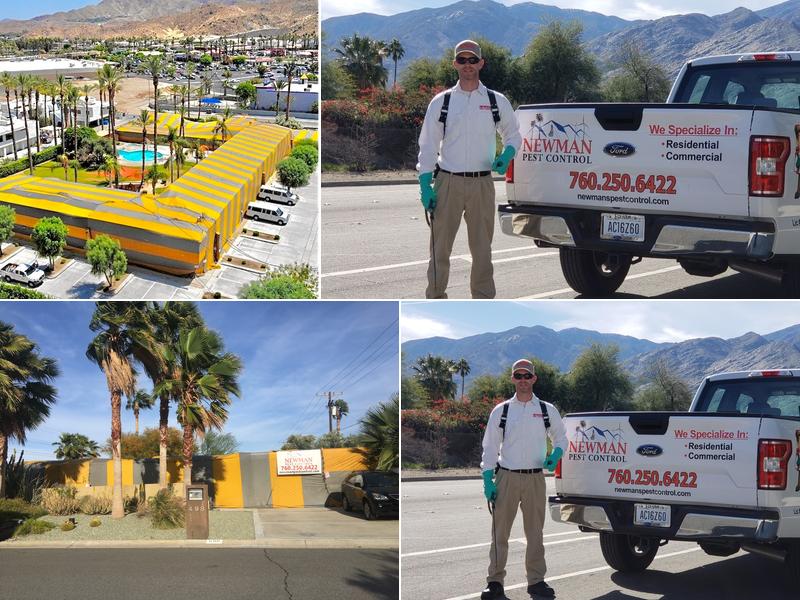 Newman Termite & Pest Control