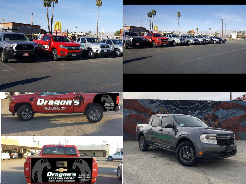 Dragon Exterminators