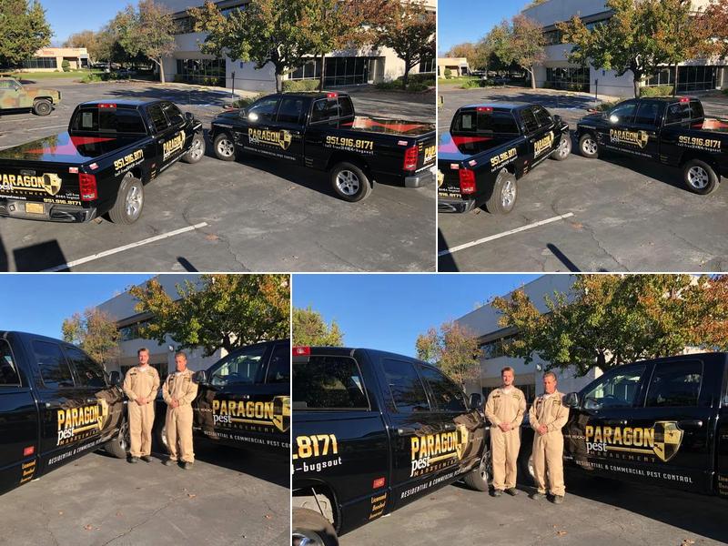 Paragon Pest Management