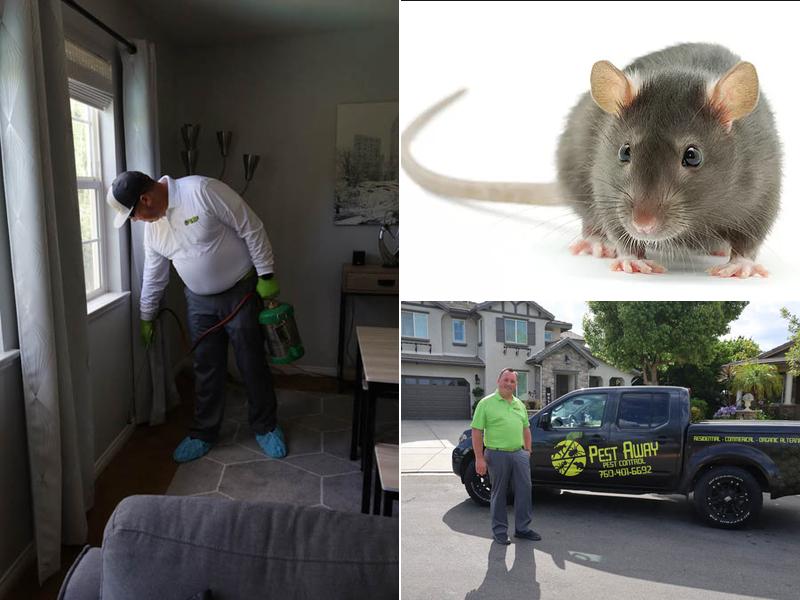Pest Away Pest Control