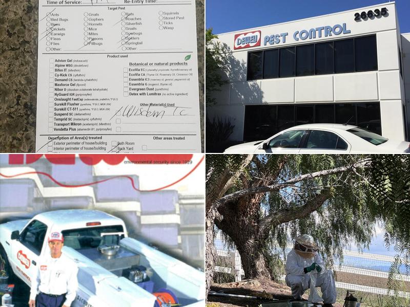 Dewey Pest & Termite Control