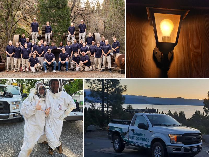 Economy Pest Control, Inc.