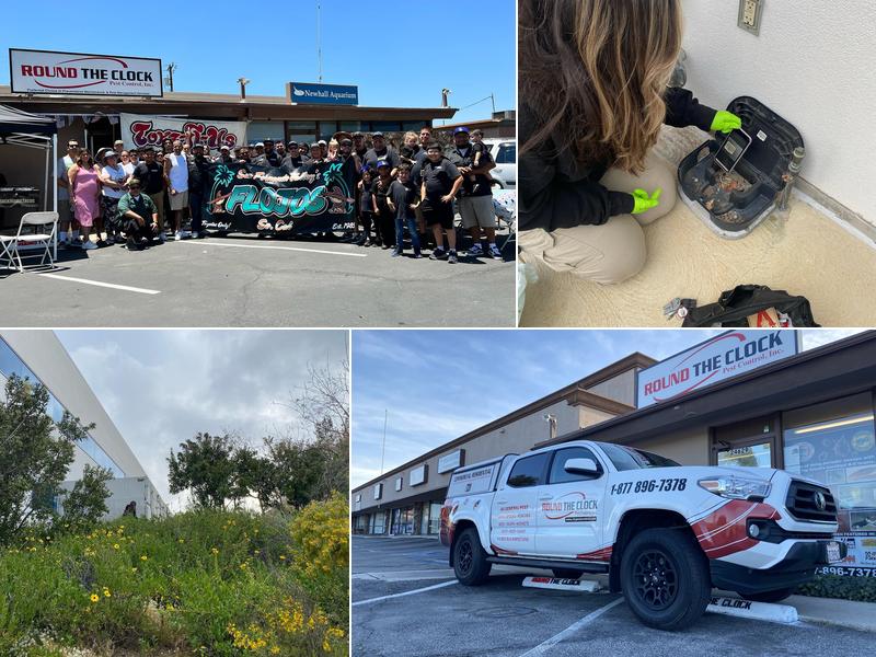 Round The Clock Pest Control Inc