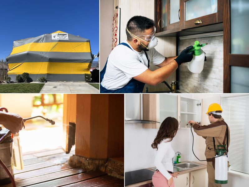 Jaeger Pest Solutions