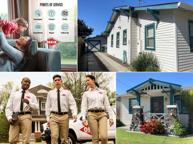 Orkin