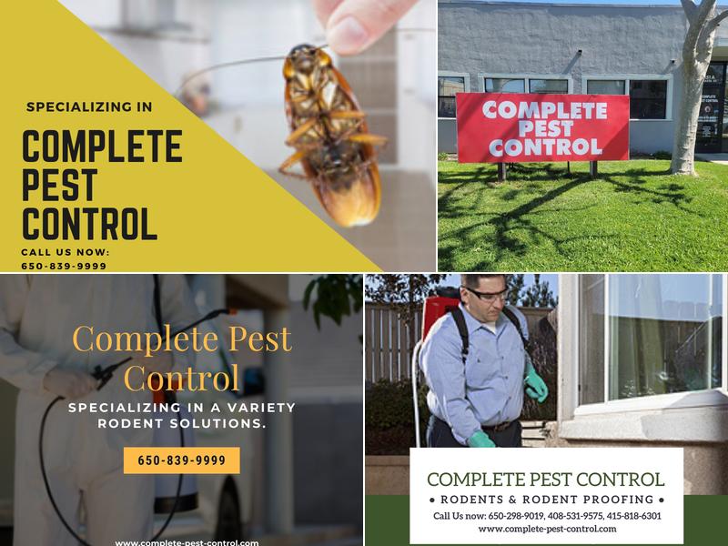 Complete Pest Control