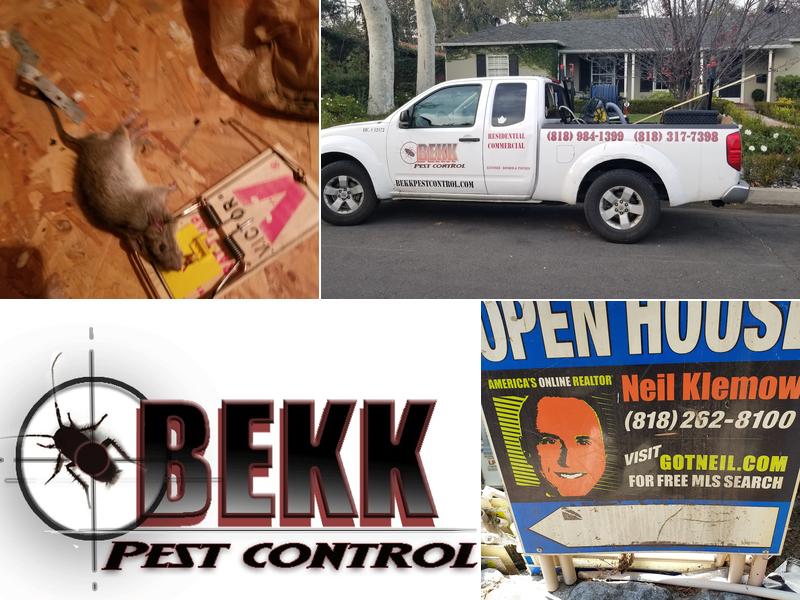 BEKK Pest Control