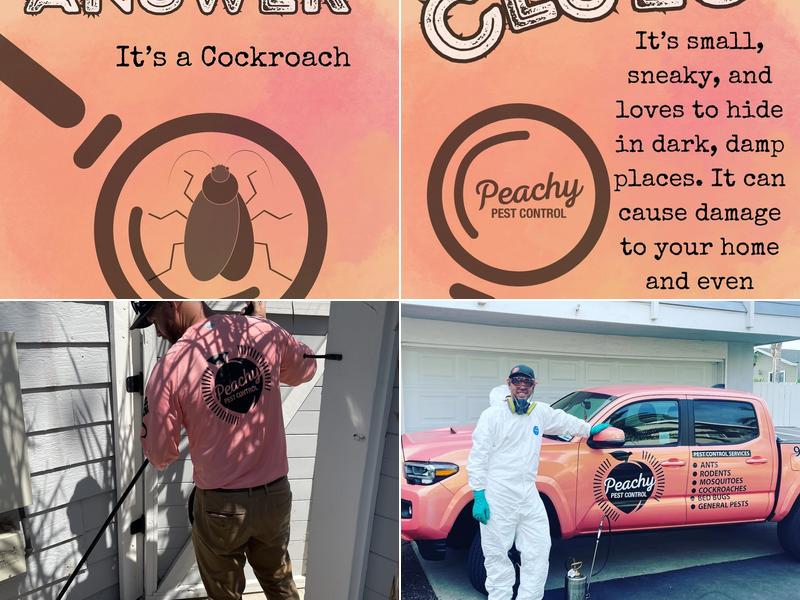 Peachy Pest Control Inc