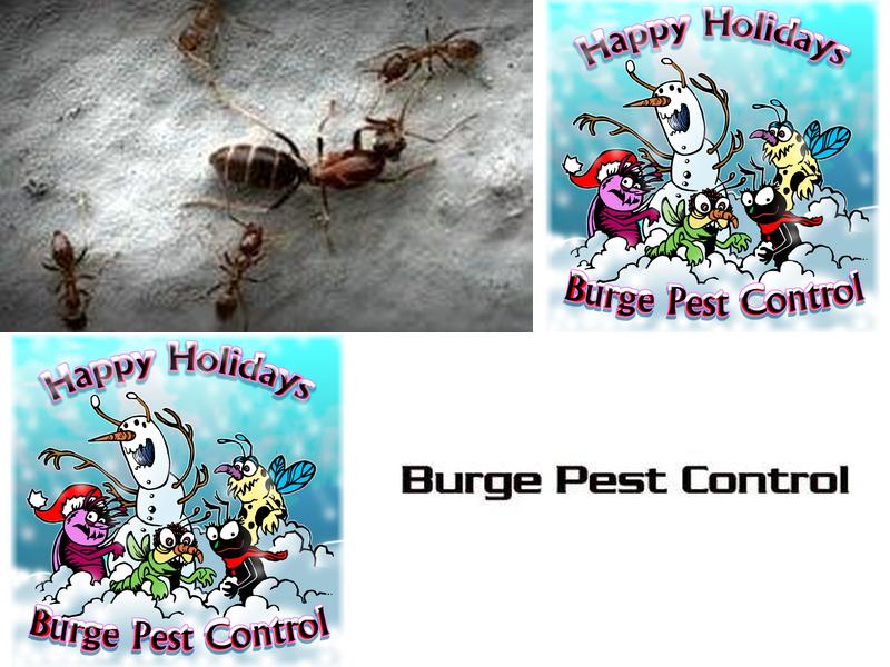 Burge Pest Control