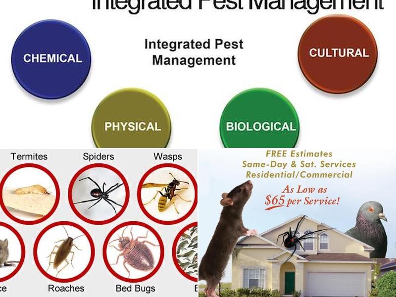 Ron's All Seasons Pest Control