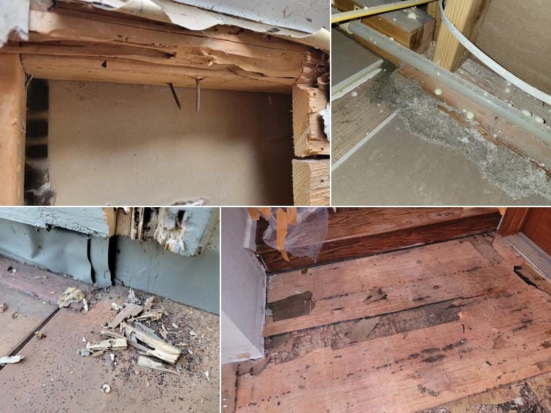 J & M Termite Control Inc