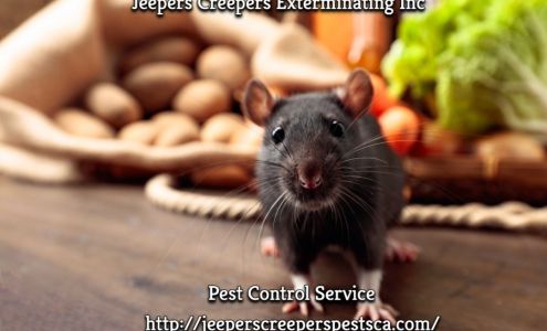 Jeepers Creepers Exterminating Inc | Pest Control Service in Covina, CA 447 W Adams Park Dr, Covina California 91723