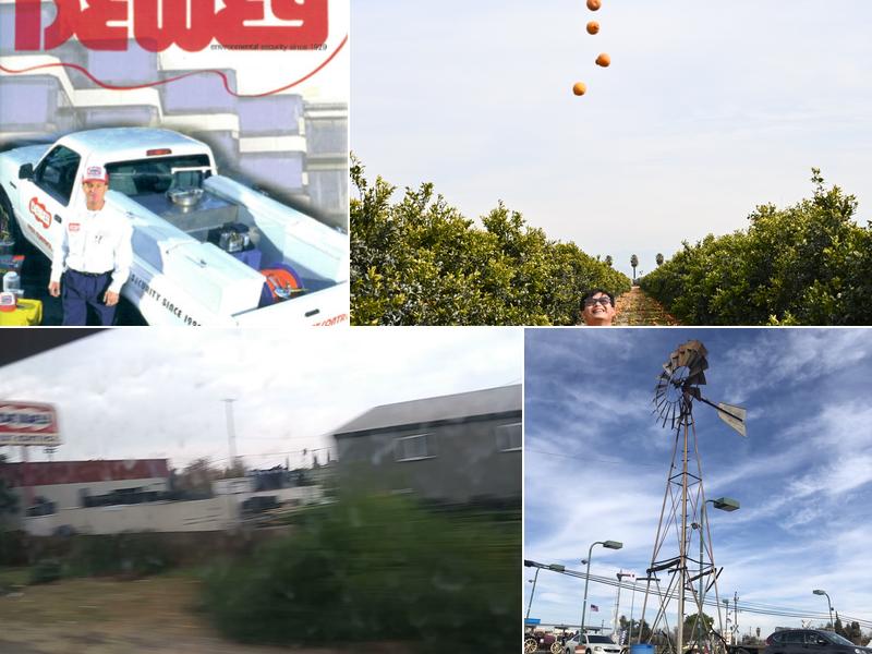 Dewey Pest & Termite Control