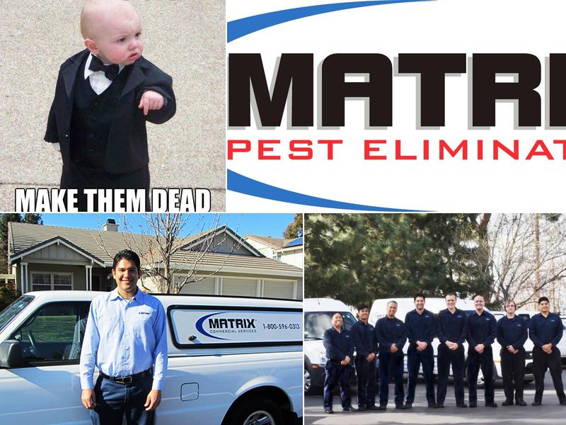 Matrix Pest Elimination