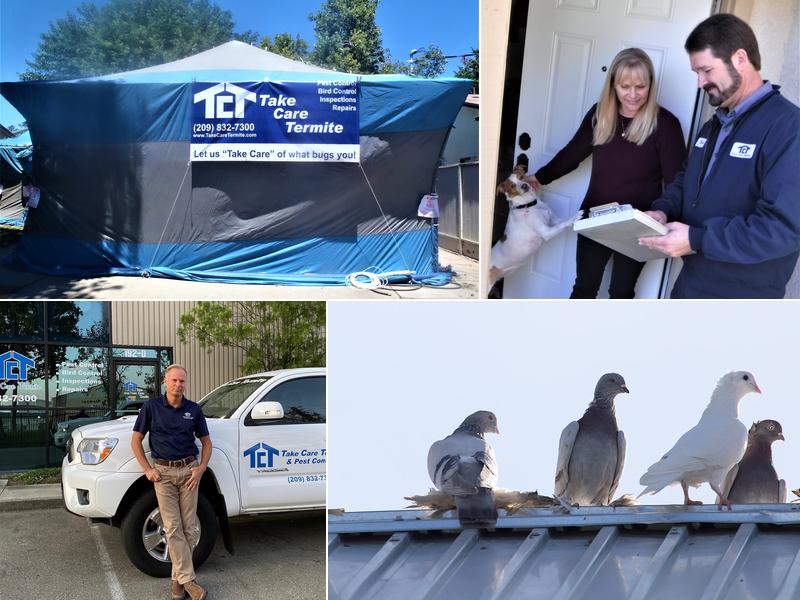 Take Care Termite & Pest Control