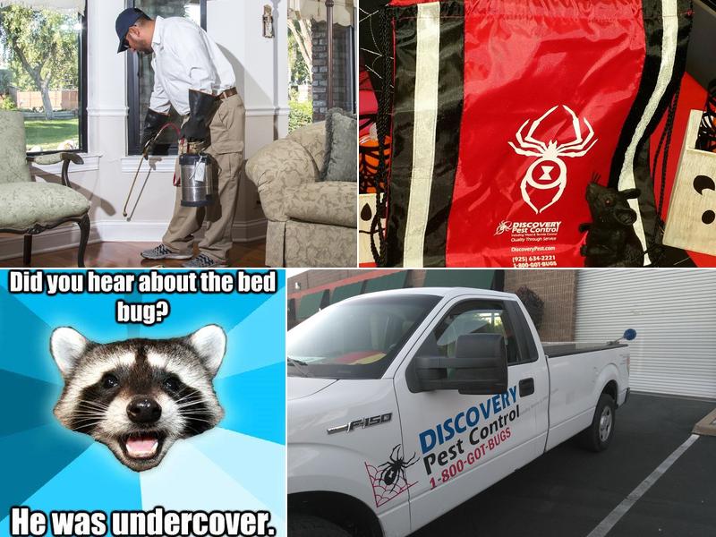 Discovery Pest Control
