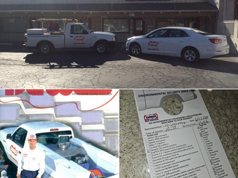 Dewey Pest & Termite Control