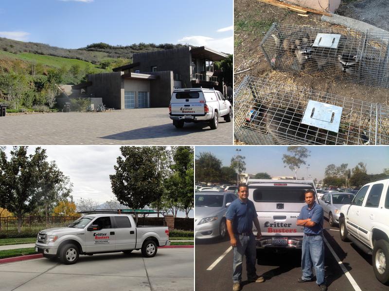 Critter Busters, Inc.