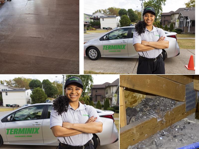 Terminix