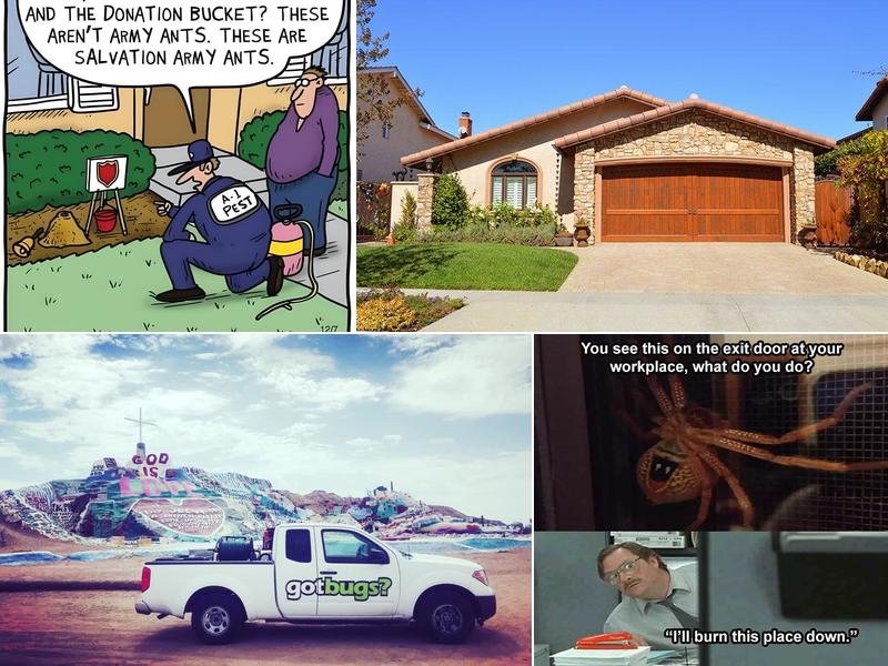 Badbugs! Pest Control