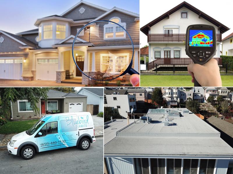 Bluebird Inspections