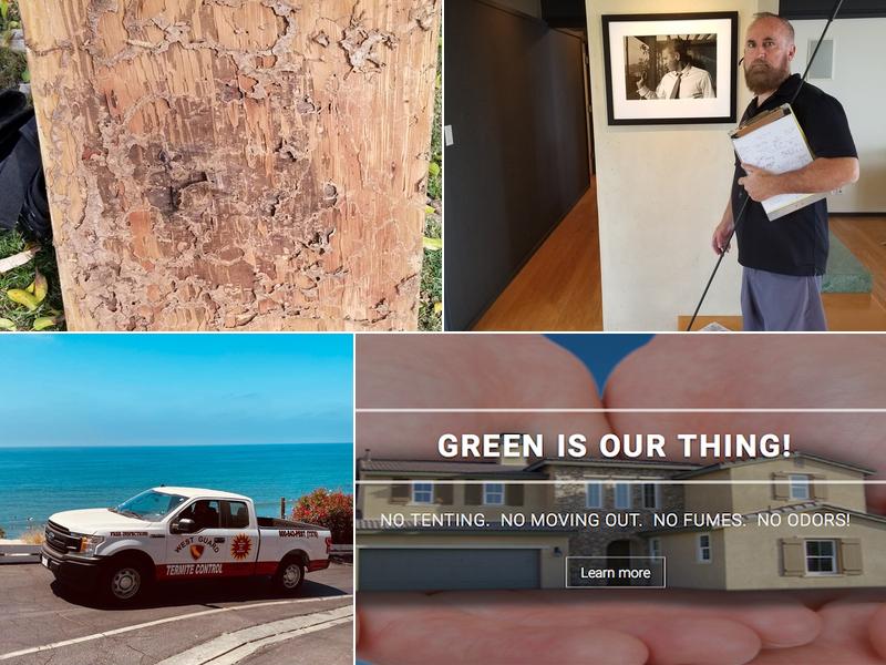 West Guard Termite Control