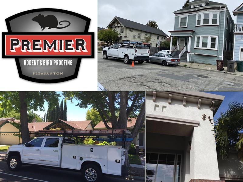 Premier Rodent Proofing