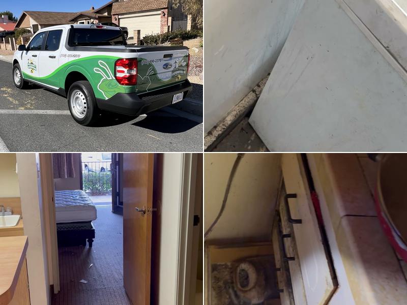 Main Street Exterminator