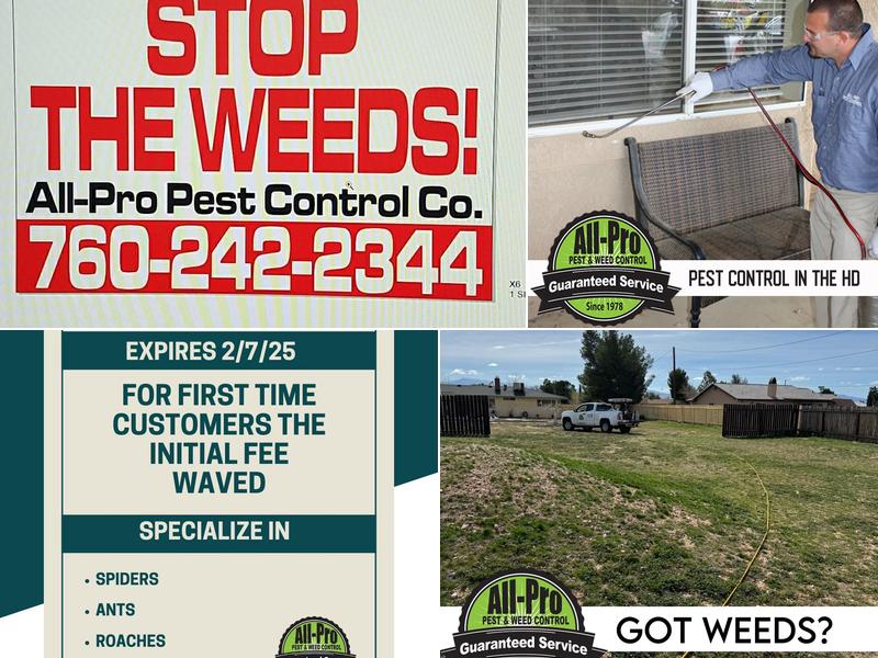 All-Pro Pest & Weed Control Services
