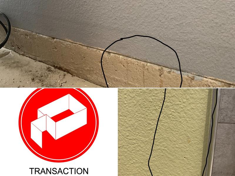 Transaction Termite Inc