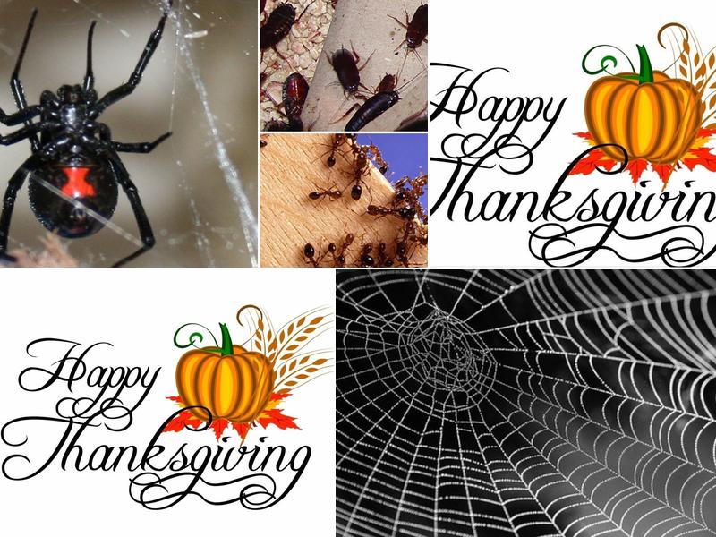 Step Aside Pest Management