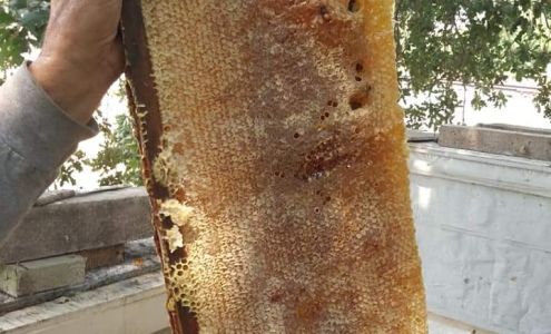 Beekeeping Innovations 714 N Gertrude Ave, Stockton California 95215