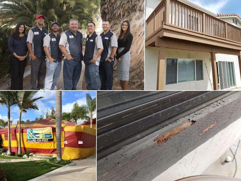 Kennedy Pest Control, Inc.