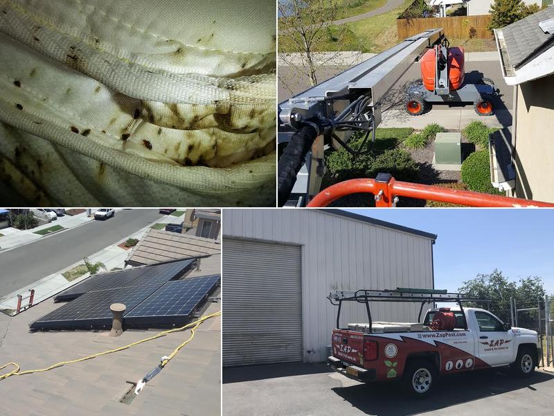 Zap Termite & Pest Control, Inc.