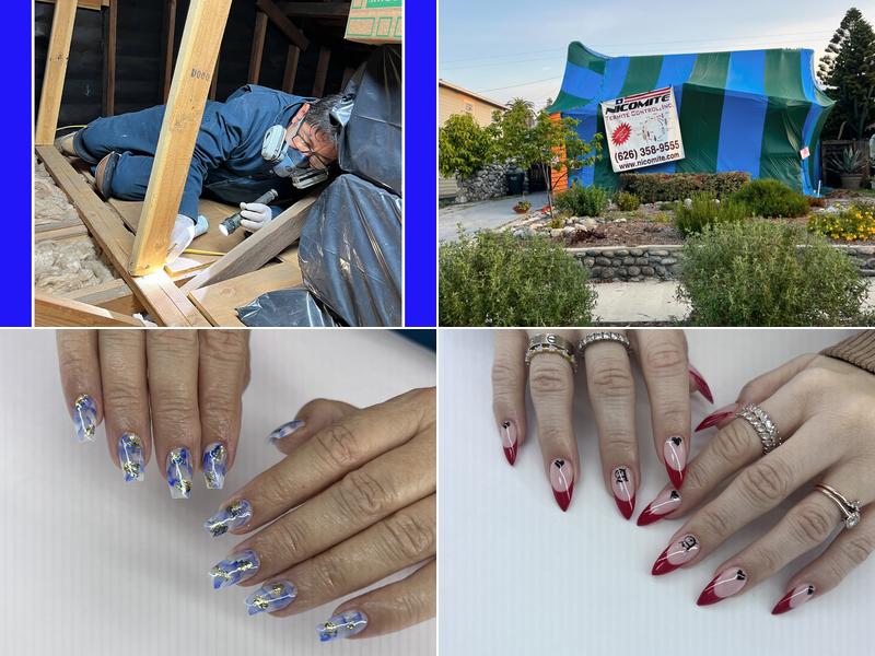 Nicomite Termite Control, Inc.