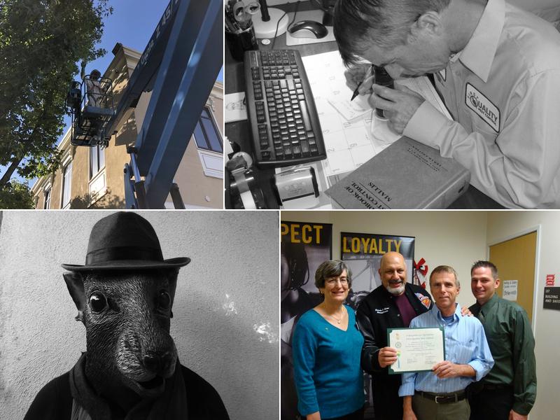 First Quality Pest Control