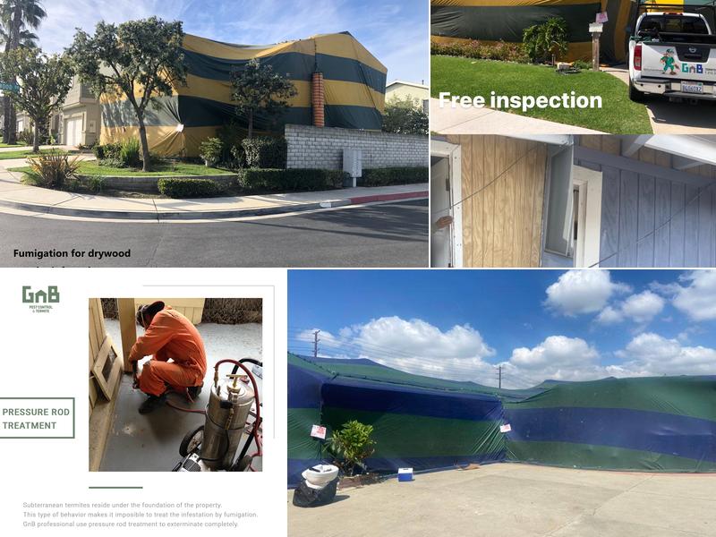 GNB Pest Control & Termite